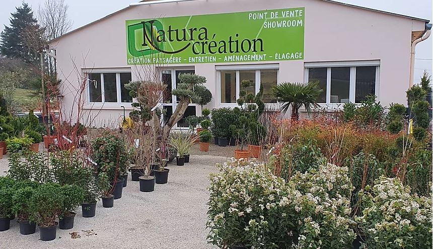 NATURA CREATION - image 1
