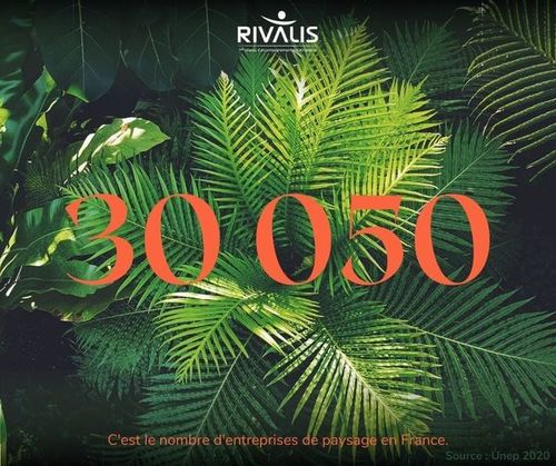 Novembre le mois des paysagistes chez Rivalis #2